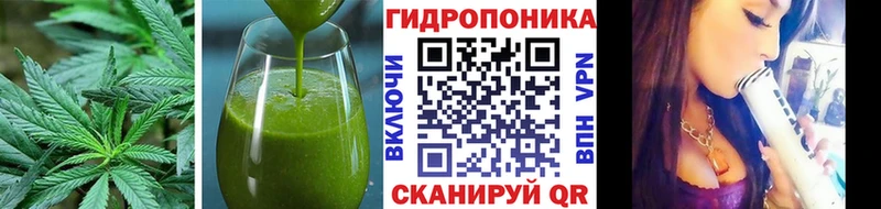 Canna-Cookies конопля Апатиты