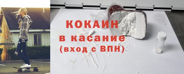 индика Алексин