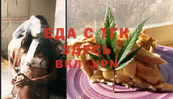 индика Алексин