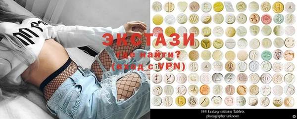 индика Алексин