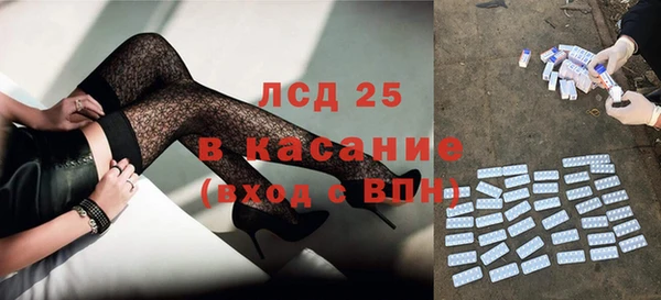 индика Алексин