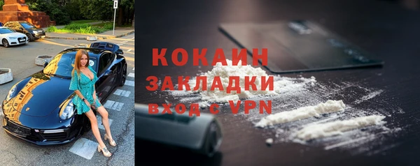 индика Алексин
