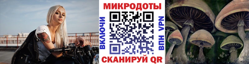 Псилоцибиновые грибы MAGIC MUSHROOMS  Апатиты 